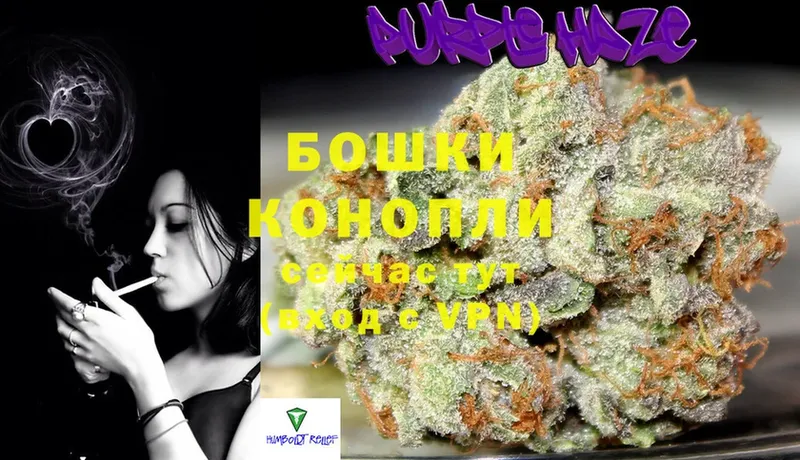 Бошки Шишки SATIVA & INDICA  Починок 